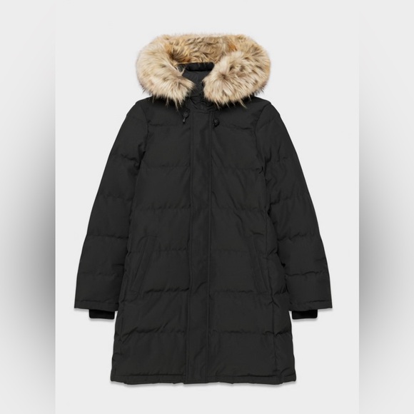 TNA " The Powder Parka" Winter Jacket (With Original Tags) - Picture 5 of 11